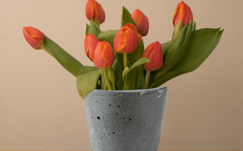Crie Seus Próprios Vasos Decorativos com Concreto